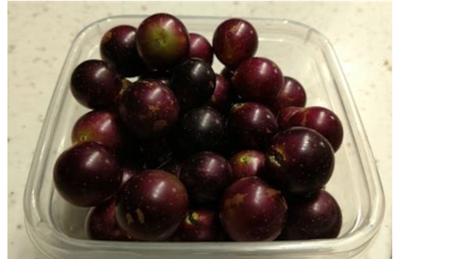 Muscadines